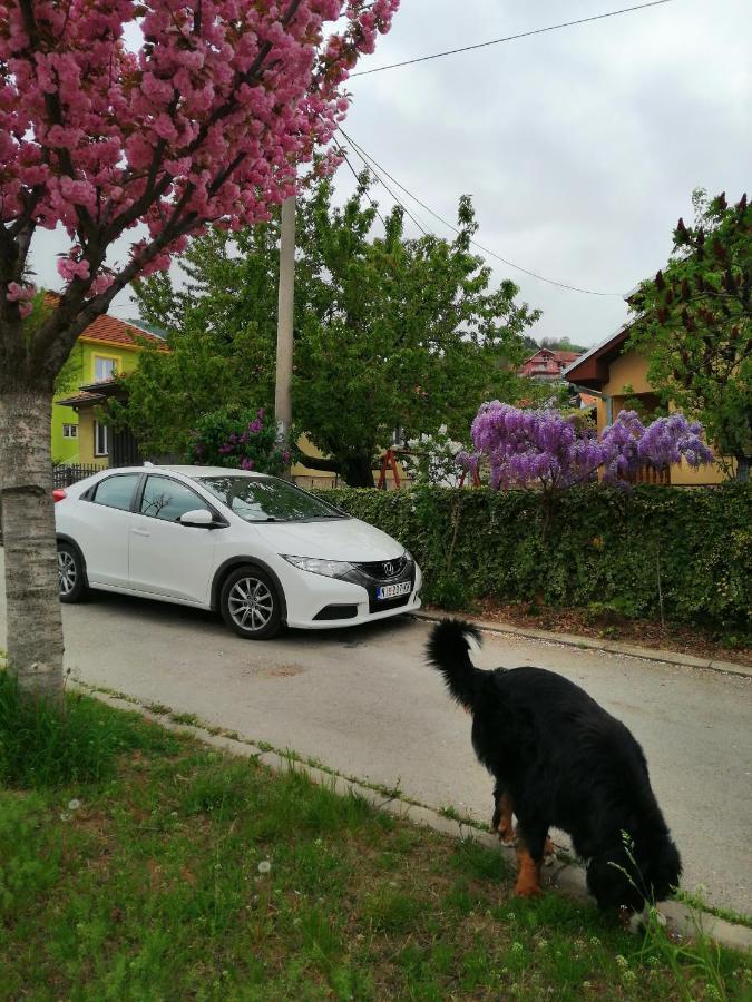 Pansion Velickovic Daire Niska Banja Dış mekan fotoğraf